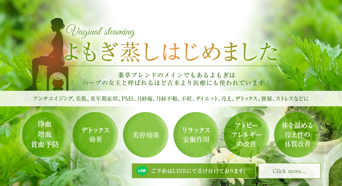 よもぎ蒸しはじめました